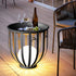 Modern Minimalist Round Cage Shelf Outdoor Waterproof 1-Light Landscape Light For Garden