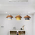 Modern Minimalist Macaron Disc Round Wooden Iron 1-Light Pendant Light For Living Room