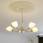 Contemporary Vintage Cream Branch Flower Brass Glass 3/5/8 Light Chandelier For Living Room