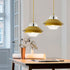 Contemporary Nordic Round Dish Iron Glass 1-Light Pendant Light For Living Room