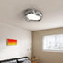 Modern Minimalist Heart Resin Acrylic LED Flush Mount Ceiling Light For Bedroom