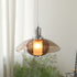 Contemporary Nordic Amber Glass Disc Iron 1-Light Pendant Light For Living Room