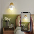 Modern Art Deco Flower Round 1-Light Wall Sconce Lamp For Bedroom