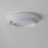 Contemporary Simplicity Two-layer Circle Shade Iron LED Flush Mount Ceiling Light For Living Room