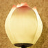 Traditional Chinese Resin Lotus Flower Hardware 1-Light Wall Sconce Lamp For Living Room