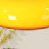 Contemporary Simplicity Persimmon Glass Shape Wood 1-Light Pendant Light For Living Room