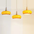 Contemporary Simplicity Persimmon Glass Shape Wood 1-Light Pendant Light For Living Room