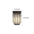 Modern Minimalist Round Cage Shelf Outdoor Waterproof 1-Light Landscape Light For Garden