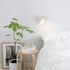 Contemporary Minimalist Dome Frosted Rotatable Aluminum LED Reading Wall Sconce Lamp For Bedroom