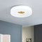 Modern Minimalist Copper Cylinder Acrylic LED Flush Mount Ceiling Light For Bedroom