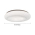 Modern Minimalist Iron Acrylic Round Shade LED Flush Mount Ceiling Light For Living Room