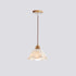 Traditional Japanese Glass Acrylic Flower Shade 1-Light Pendant Light For Living Room