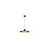 Contemporary Scandinavian Waterproof Carbonized Steel Round 1-Light Pendant Light For Outdoor Patio