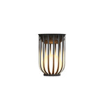 Modern Minimalist Round Cage Shelf Outdoor Waterproof 1-Light Landscape Light For Garden