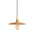 Contemporary Retro Wood Round Dish Irregular Grain 1-Light Pendant Light For Dining Room