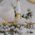 Contemporary Vintage Cream Branch Flower Brass Glass 3/5/8 Light Chandelier For Living Room