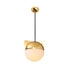 Contemporary Creative Cartoon Animal Iron Glass Ball 1-Light Pendant Light For Living Room