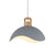 Contemporary Scandinavian Macaron Lotus Flower Petal Shape 1-Light Pendant For Living Room