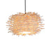 Traditional Japanese Rattan Weaving Birds Nest 1-Light Pendant Light For Living Room