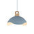 Contemporary Scandinavian Macaron Lotus Flower Petal Shape 1-Light Pendant For Living Room