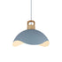 Contemporary Scandinavian Macaron Lotus Flower Petal Shape 1-Light Pendant For Living Room